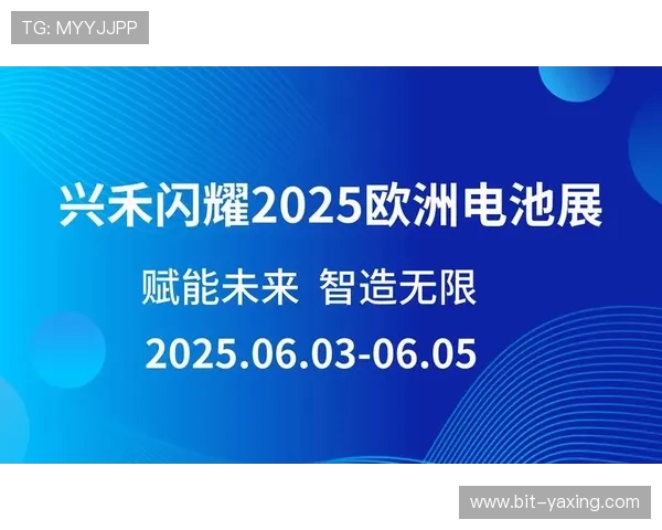 亚星官方网站登录入口网址官方入口地址及常见登录问题快速解决方法